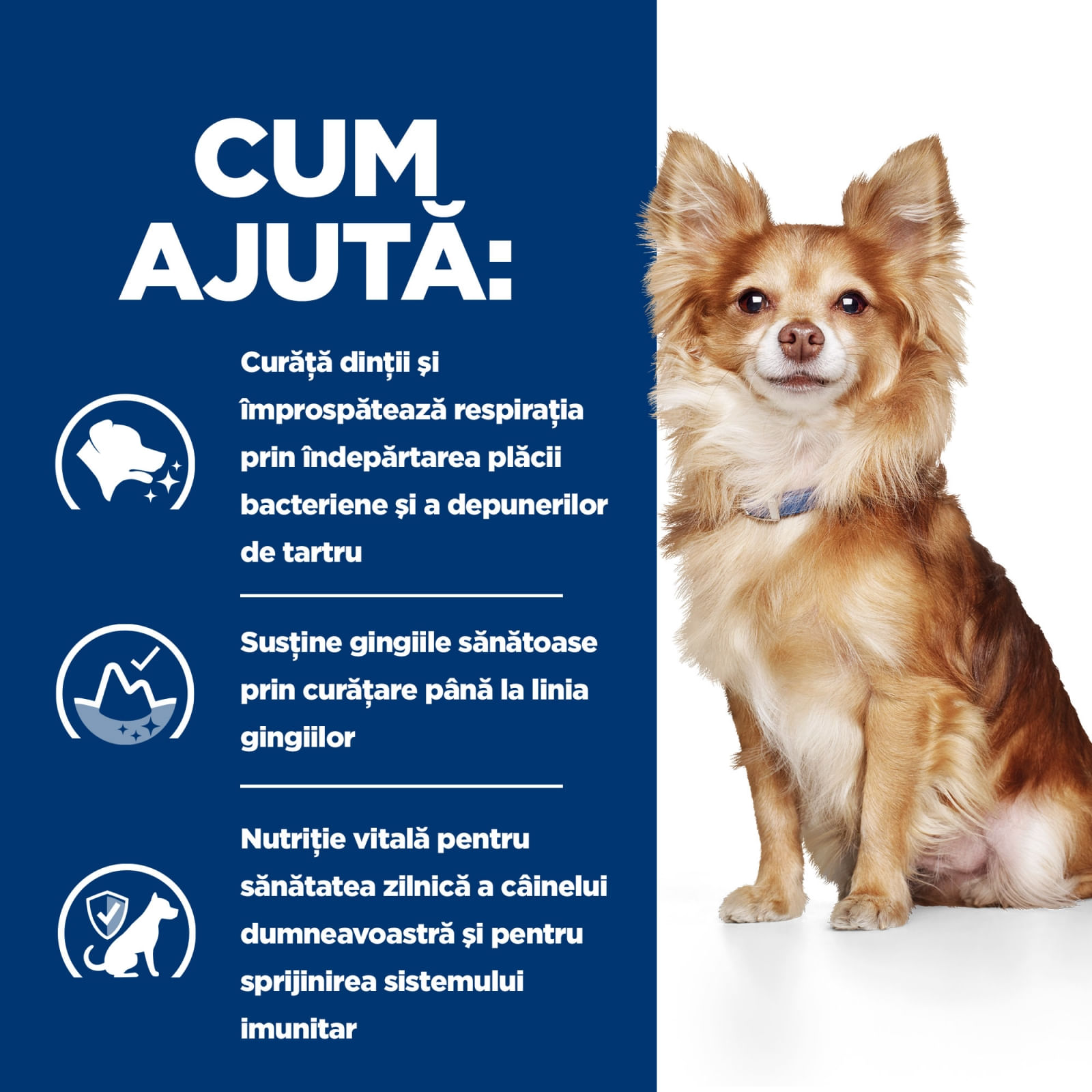 HILL&#039;S Prescription Diet t/d Dental Care Mini, Pui, dietă veterinară câini, hrană uscată, sensibilități dentare, 3kg
