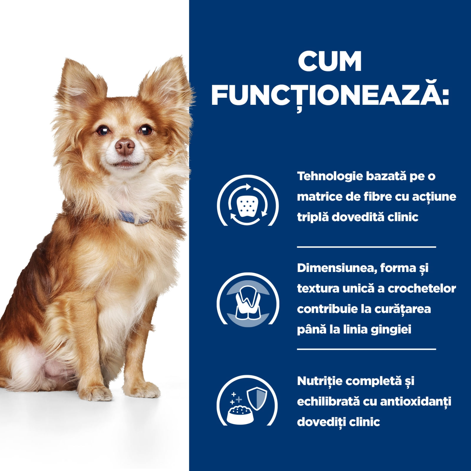 HILL&#039;S Prescription Diet t/d Dental Care Mini, Pui, dietă veterinară câini, hrană uscată, sensibilități dentare, 3kg