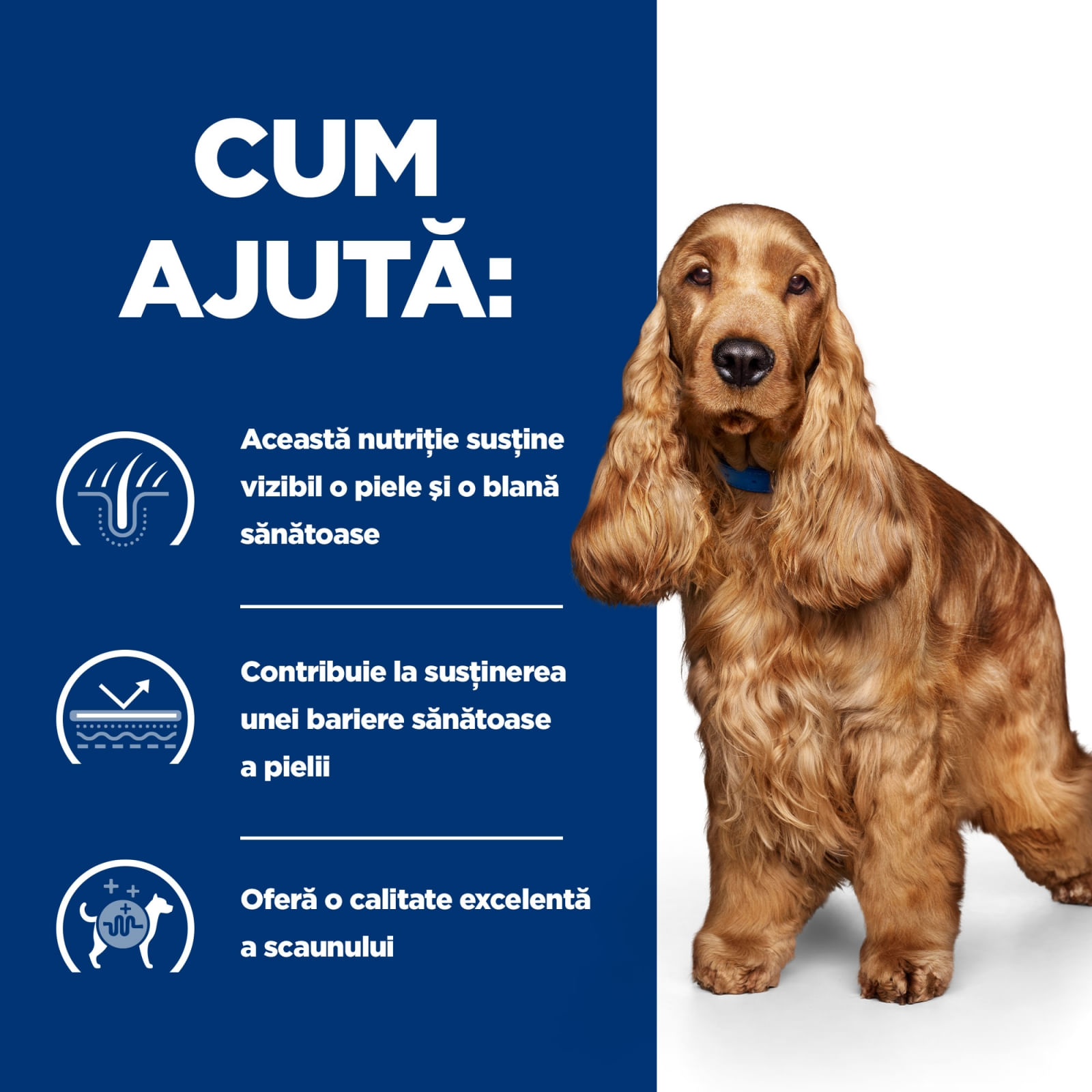 HILL&#039;S Prescription Diet z/d Food Sensitivities, dietă veterinară câini, conservă hrană umedă, piele &amp; blana, sistem digestiv, (în sos), 370g