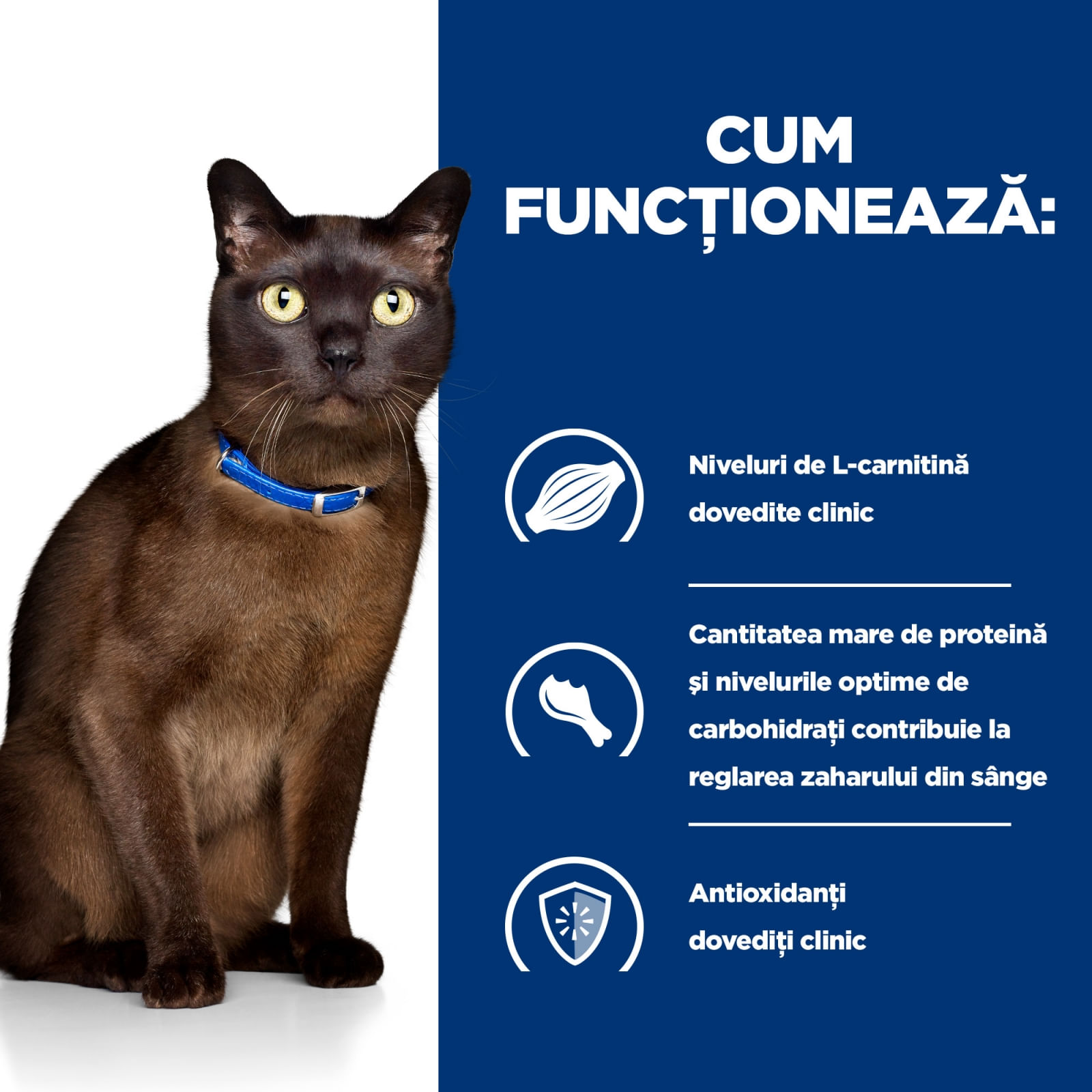HILL&#039;S Prescription Diet m/d Diabetes Care, Pui, dietă veterinară pisici, conservă hrană umedă, metabolism (obezitate si diabet), (în sos), 156g