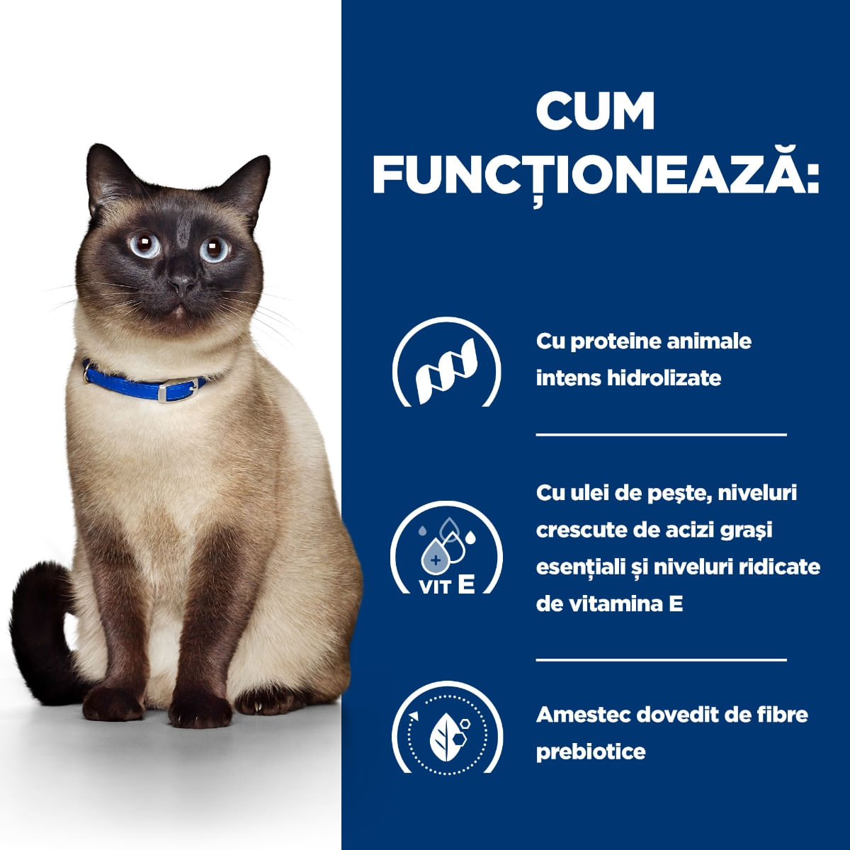 HILL\'S Prescription Diet z/d Food Sensitivities, dietă veterinară pisici, conservă hrană umedă, afecțiuni dermatologice și sistem digestiv, 156g - 4 | YEO