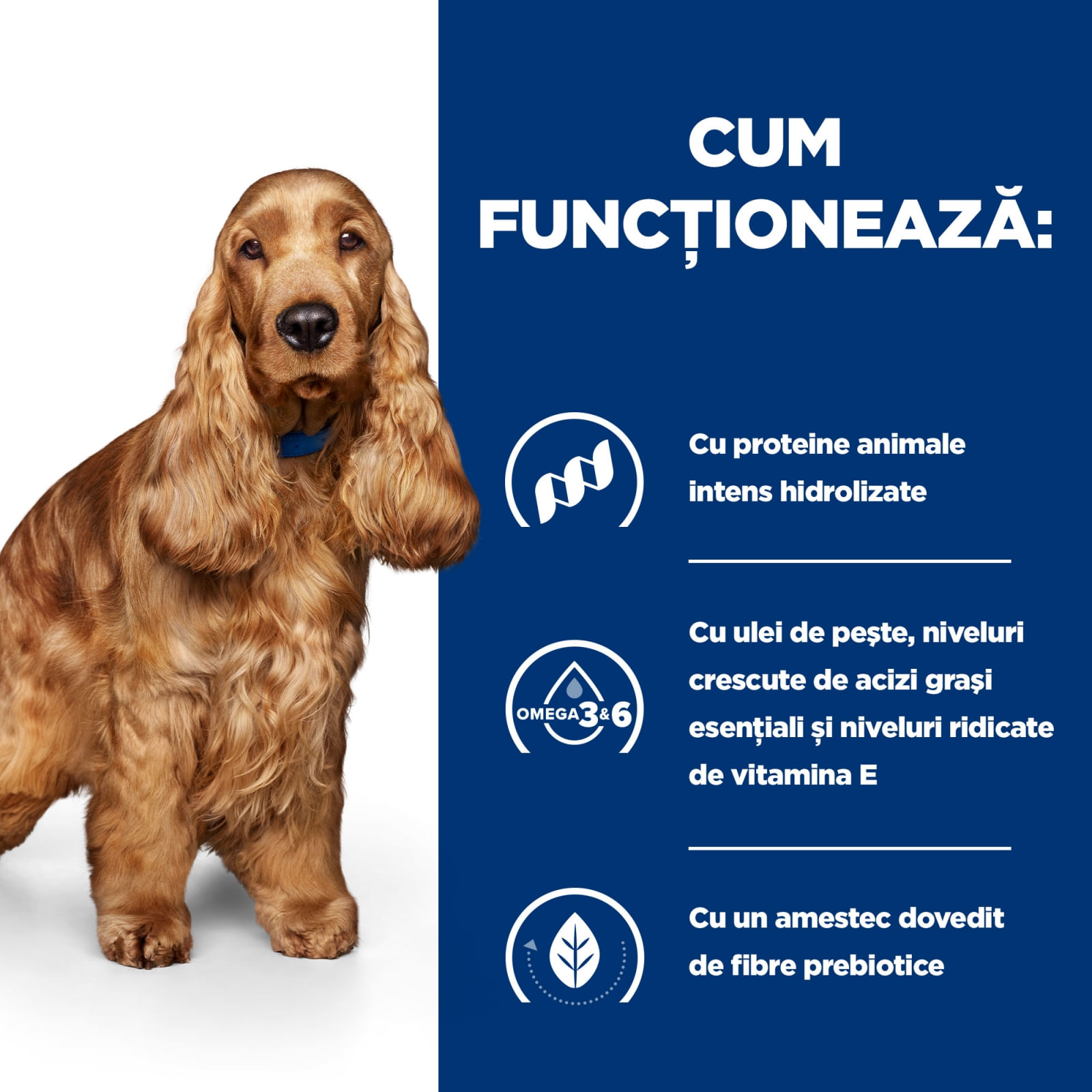 HILL&#039;S Prescription Diet z/d Food Sensitivities, dietă veterinară câini, conservă hrană umedă, piele &amp; blana, sistem digestiv, (în sos), 370g