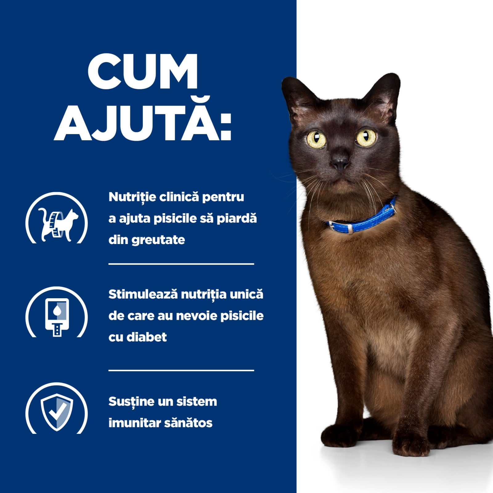 HILL&#039;S Prescription Diet m/d Diabetes Care, Pui, dietă veterinară pisici, conservă hrană umedă, metabolism (obezitate si diabet), (în sos), 156g