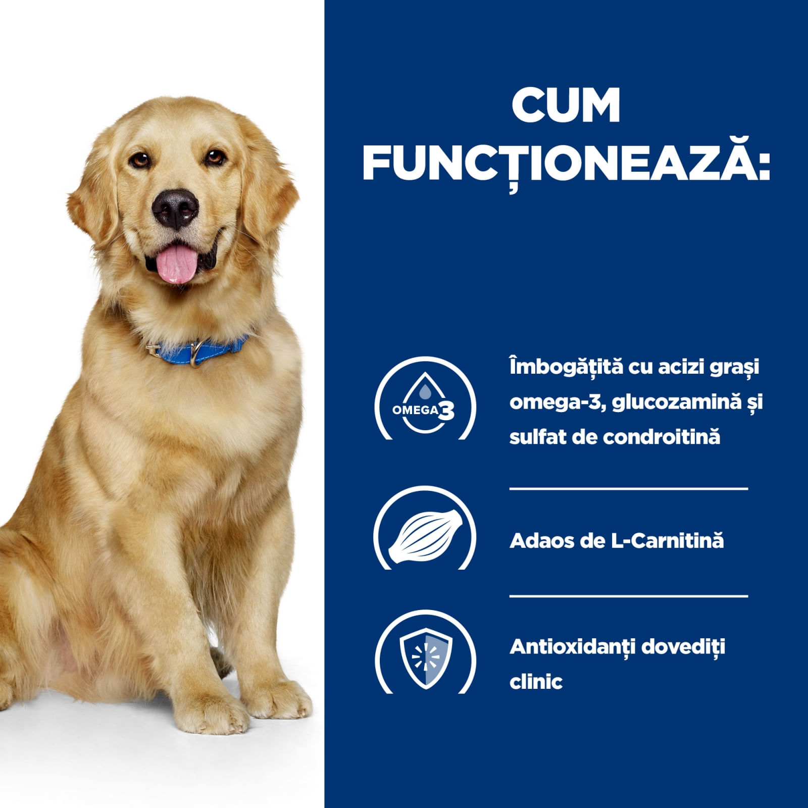 HILL&#039;S Prescription Diet j/d Mobility, Pui, dietă veterinară câini, hrană uscată, afecțiuni articulare HILL&#039;S Prescription Diet j/d Mobility, Pui, dietă veterinară câini, hrană uscată, sistem articular, 12kg