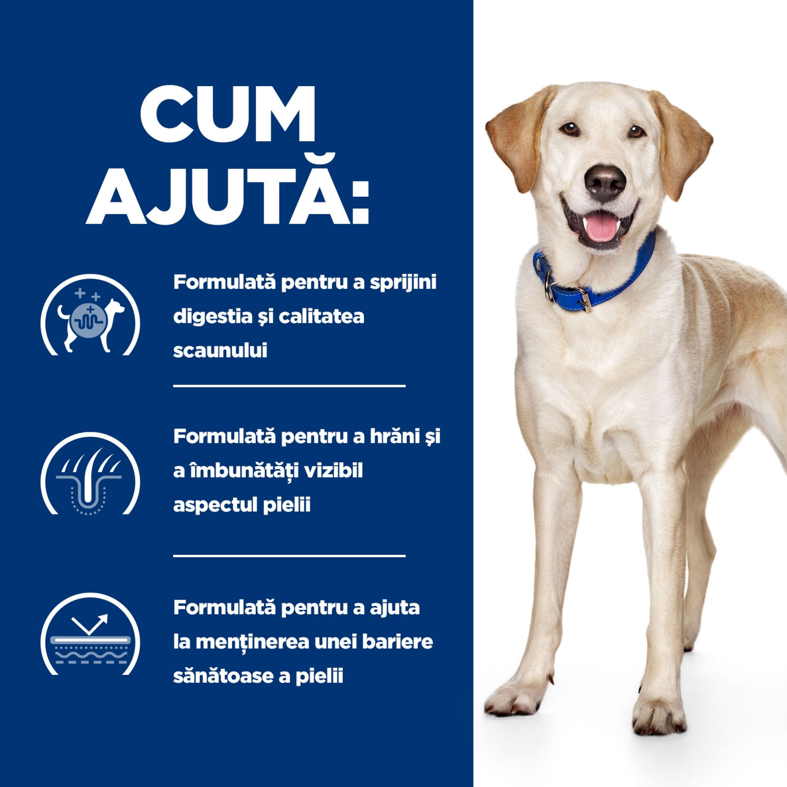 HILL'S Prescription Diet d/d Food Sensitivities, Rață cu Orez, dietă veterinară câini, hrană uscată, sensibilități digestive HILL'S Prescription Diet d/d Food Sensitivities, Rață cu Orez, dietă veterinară câini, hrană uscată, piele & blana, sistem digest