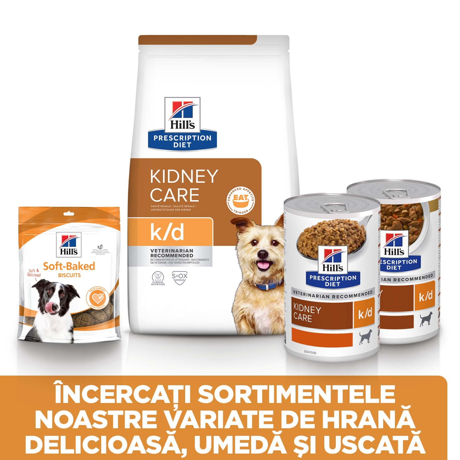 HILL&#039;S Prescription Diet k/d Kidney Care, dietă veterinară câini, hrană uscată, afecțiuni renale HILL&#039;S Prescription Diet k/d Kidney Care, dietă veterinară câini, hrană uscată,sistem renal, 4kg