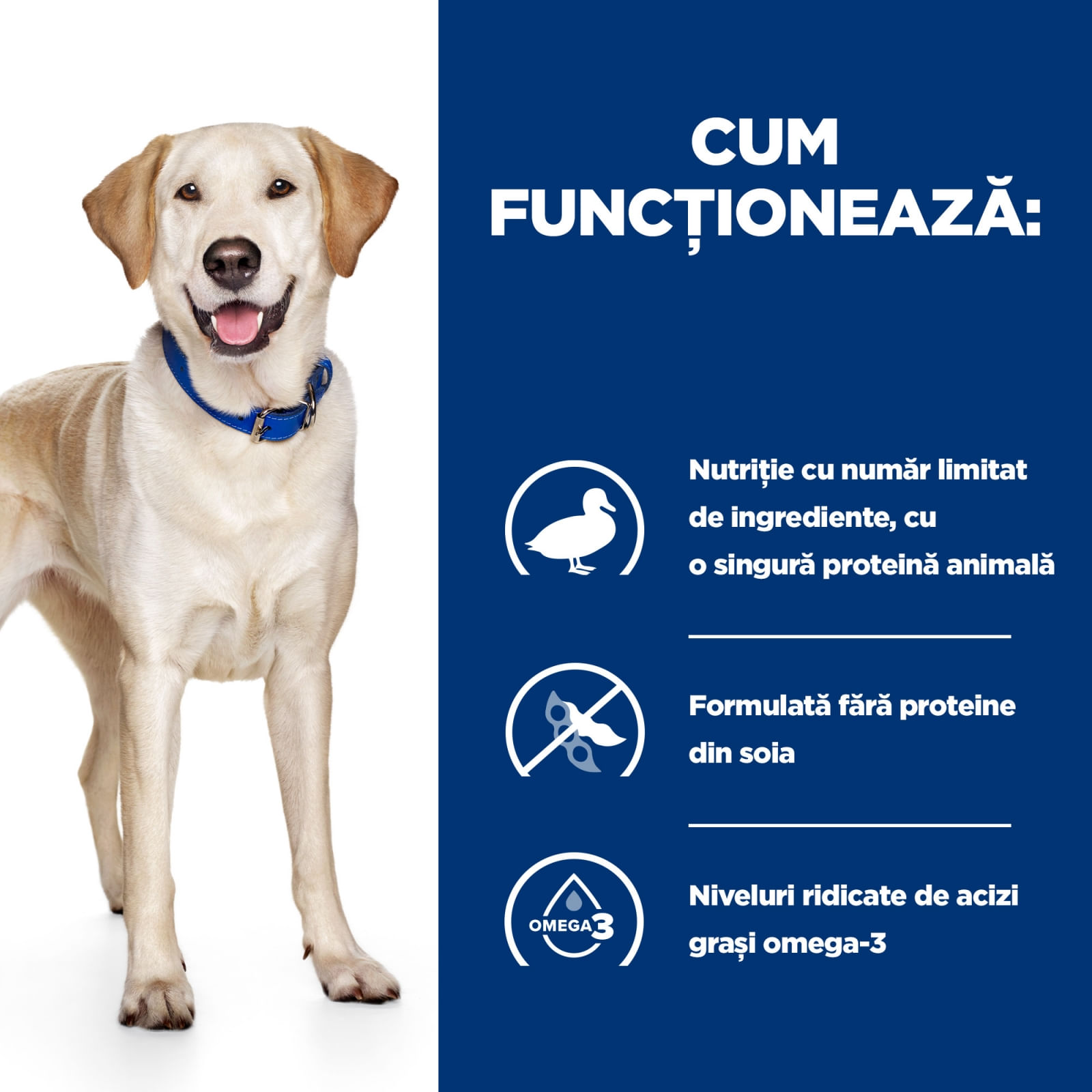 HILL'S Prescription Diet d/d Food Sensitivities, Rață cu Orez, dietă veterinară câini, hrană uscată, sensibilități digestive HILL'S Prescription Diet d/d Food Sensitivities, Rață cu Orez, dietă veterinară câini, hrană uscată, piele si blana, sistem dige