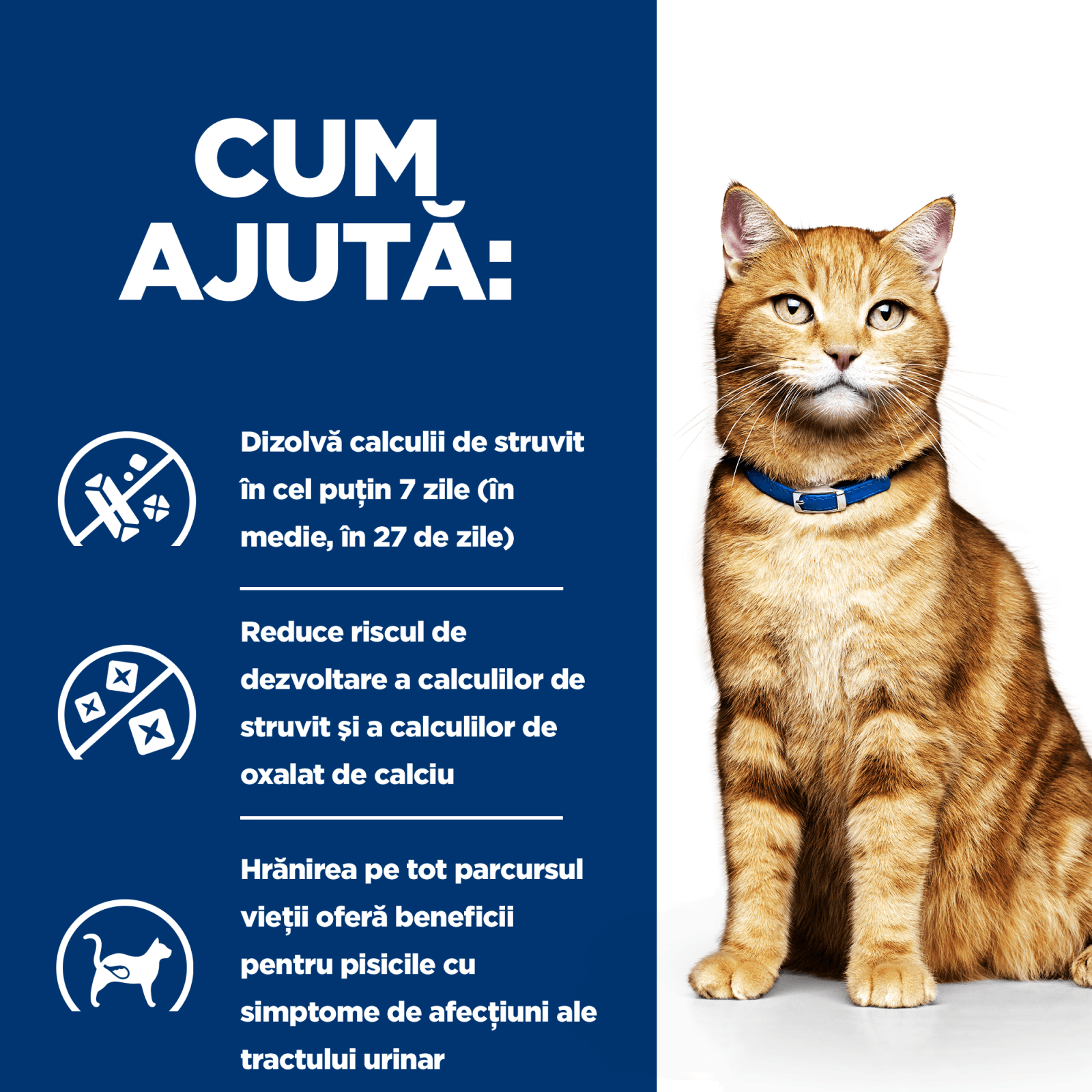 HILL\'S Prescription Diet c/d Urinary, Pui, dietă veterinară pisici, hrană uscată, afecțiuni urinare HILL\'S Prescription Diet c/d Urinary Care, Pui, dietă veterinară pisici, hrană uscată, sistem urinar, 1.5kg - 3 | YEO