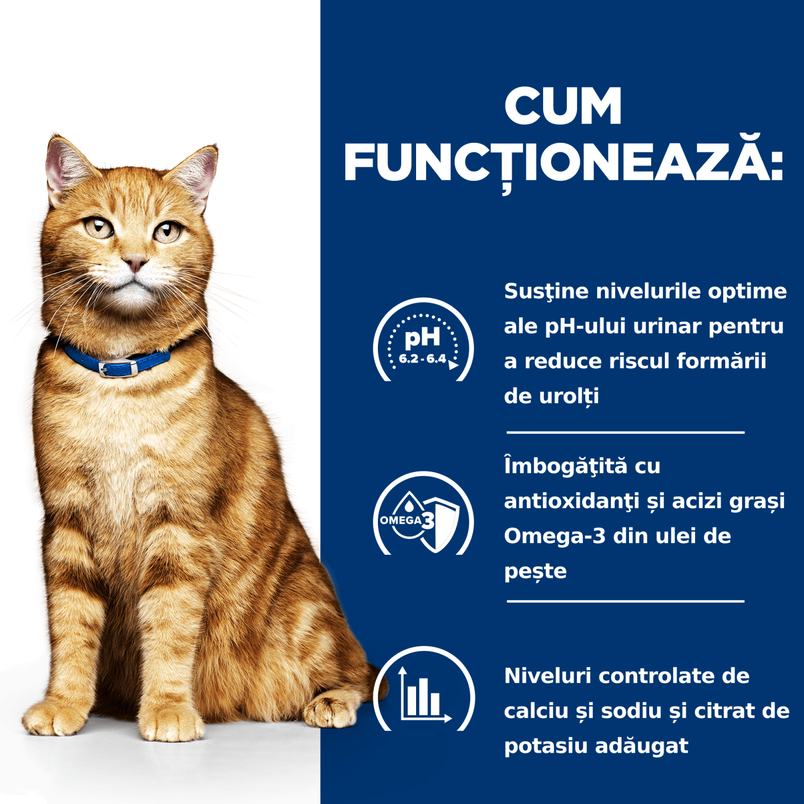 HILL'S Prescription Diet c/d Urinary, Pui, dietă veterinară pisici, hrană uscată, afecțiuni urinare HILL'S Prescription Diet c/d Urinary, Pui, dietă veterinară pisici, hrană uscată, sistem urinar, 12kg