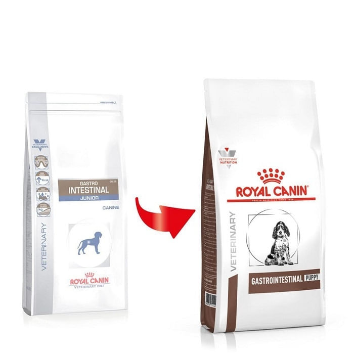 Royal Canin Gastro Intestinal Junior Dog, 2.5 kg - 1 | YEO