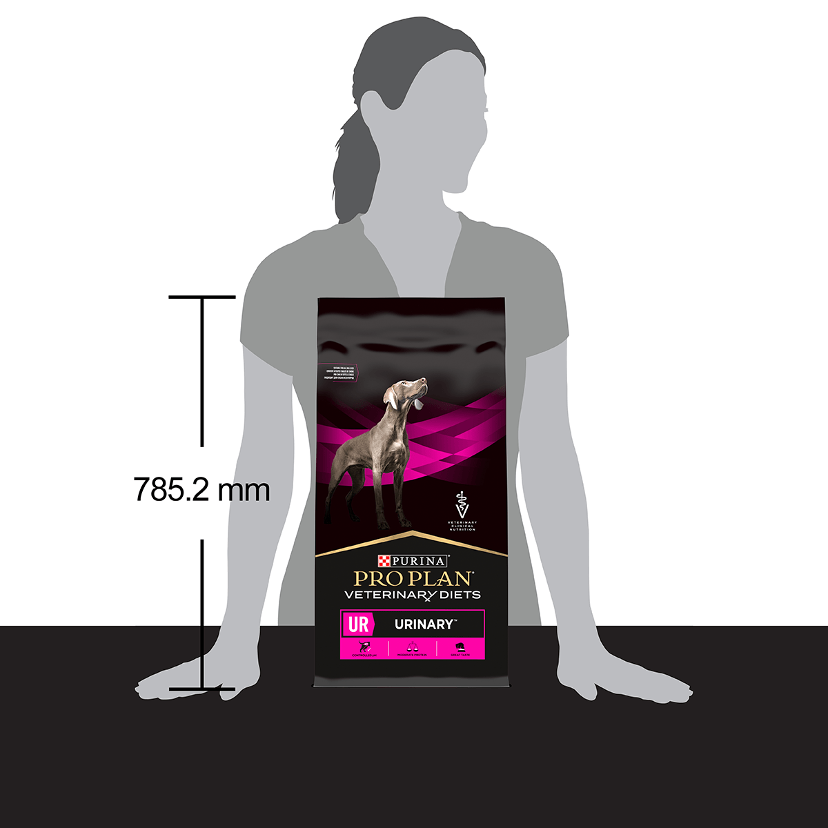 PURINA Pro Plan Veterinary Diets Urinary, dietă veterinară câini, hrană uscată, afecțiuni urinare, 12kg - 3 | YEO