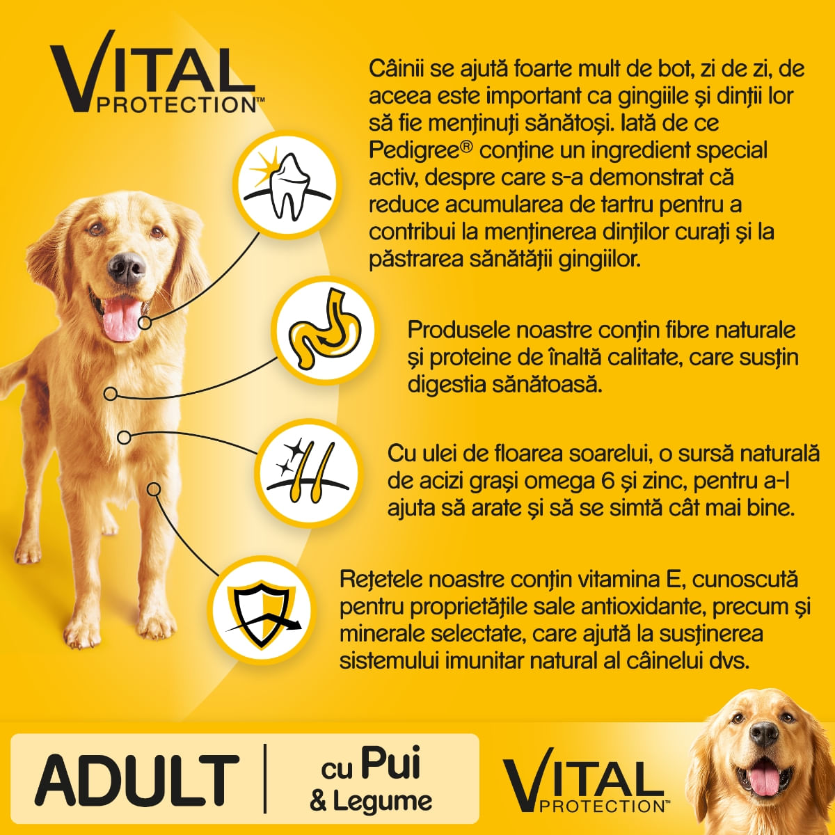 PEDIGREE Vital Protection Adult, Pui și Legume, hrană uscată câini, 10kg - 1 | YEO