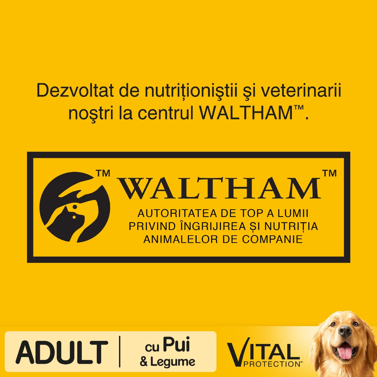 PEDIGREE Vital Protection Adult, Pui și Legume, hrană uscată câini, 10kg - 2 | YEO