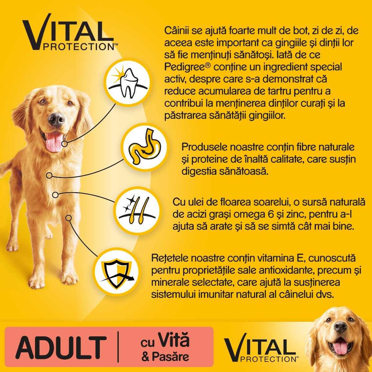 PEDIGREE Vital Protection Adult, Vită și Pasăre, hrană uscată câini, 15kg - 3 | YEO