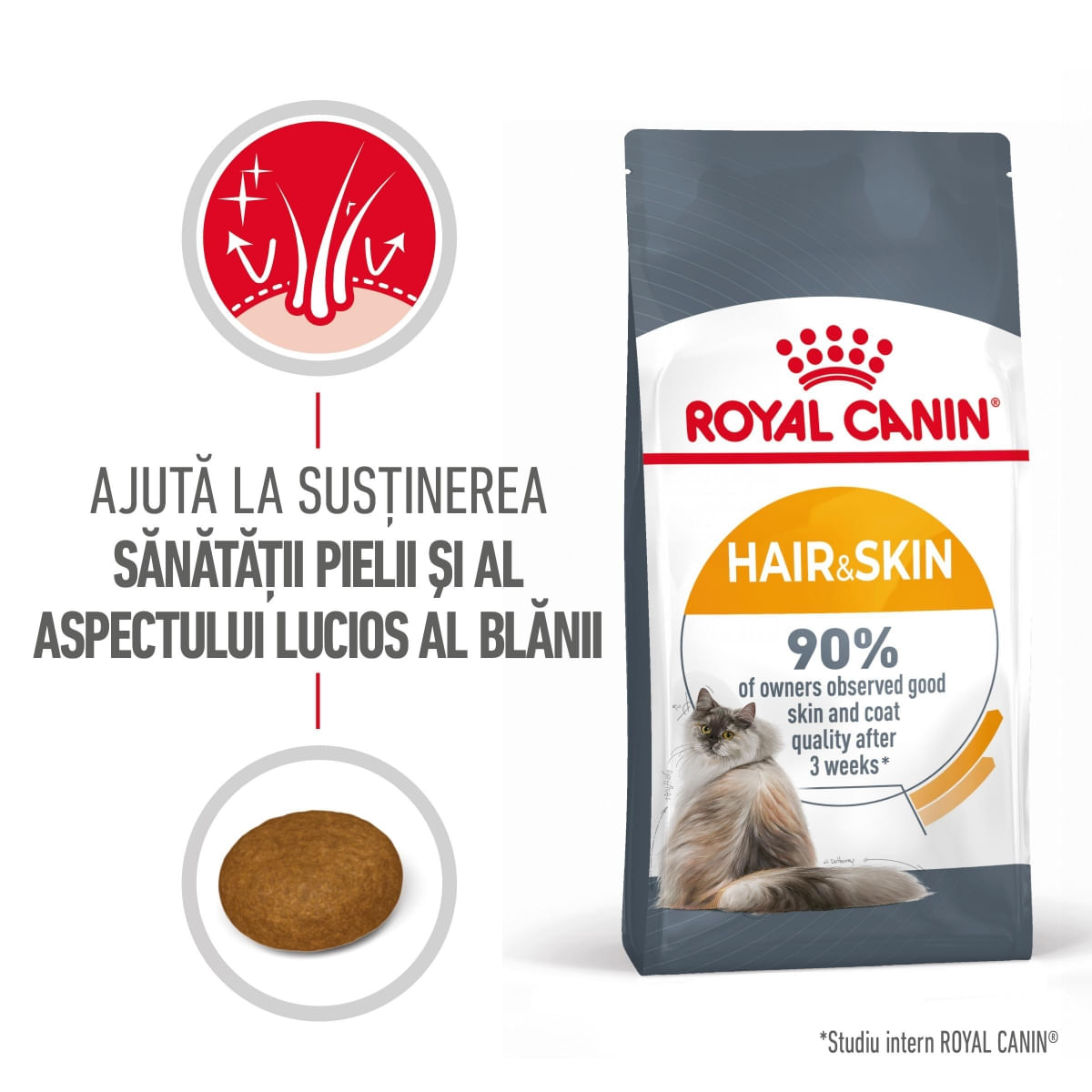Royal Canin Hair & Skin Care Adult, hrană uscată pisici, piele și blană ROYAL CANIN Feline Care Nutrition Hair&Skin Care, hrană uscată pisici, piele și blană, 10kg