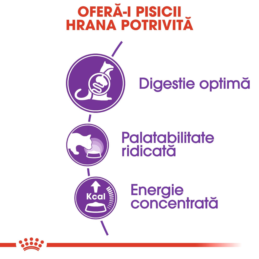 Royal Canin Sensible Adult, hrană uscată pisici, digestie optimă ROYAL CANIN Sensible Adult, overfill hrană uscată pisici, digestie optimă, 10kg+2kg GRATUIT