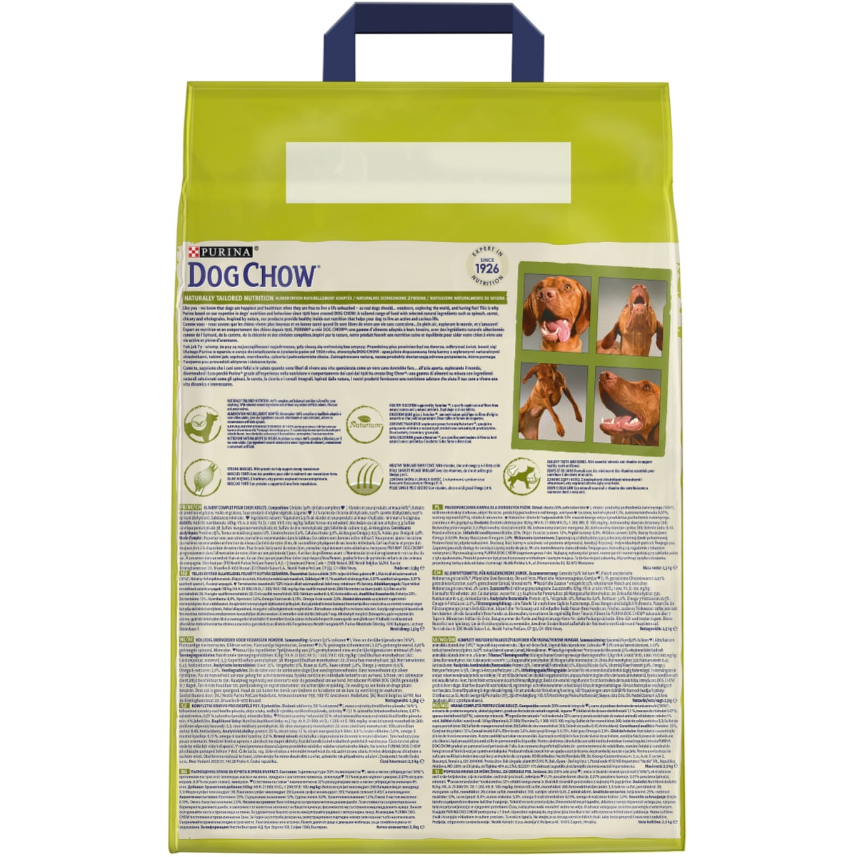 PURINA Dog Chow Adult M, Miel, hrană uscată câini, 2.5kg - 3 | YEO
