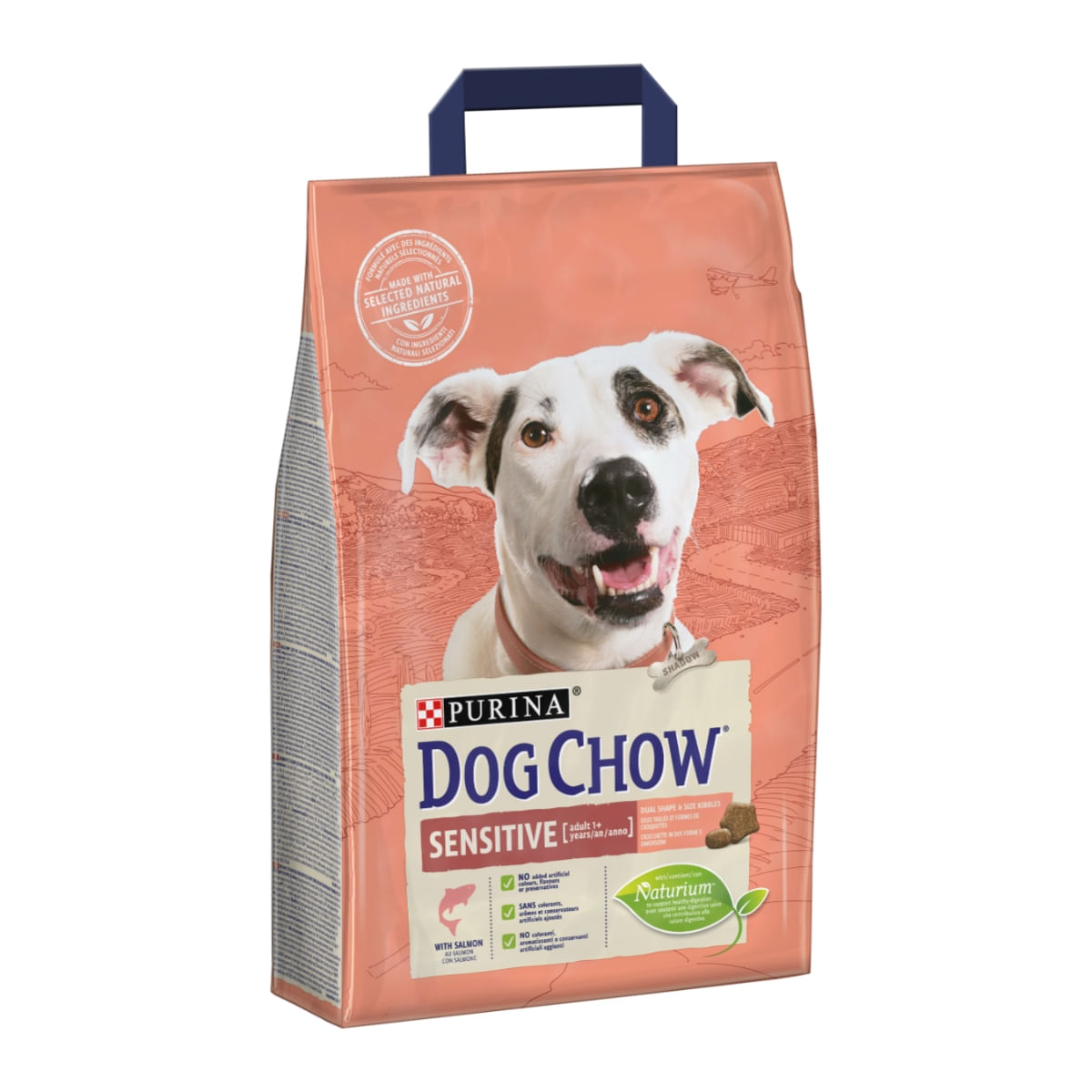 PURINA Dog Chow Adult Sensitive, Somon, hrană uscată câini, sensibilități digestive, 2.5kg - 1 | YEO
