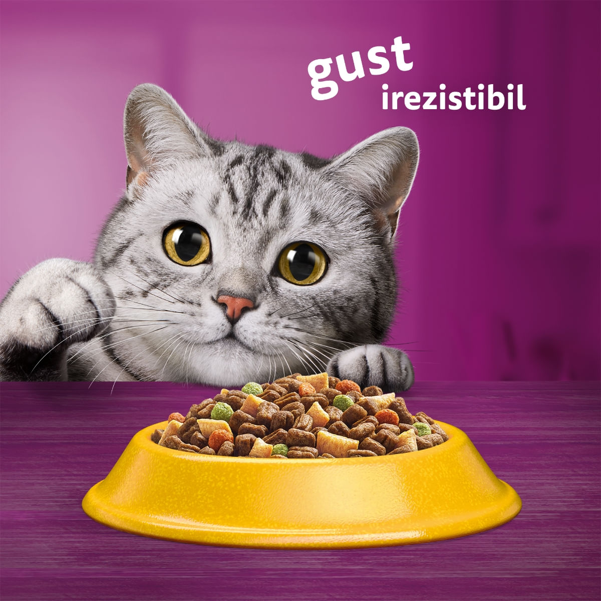WHISKAS Adult, Pui, hrană uscată pisici, 1.4kg