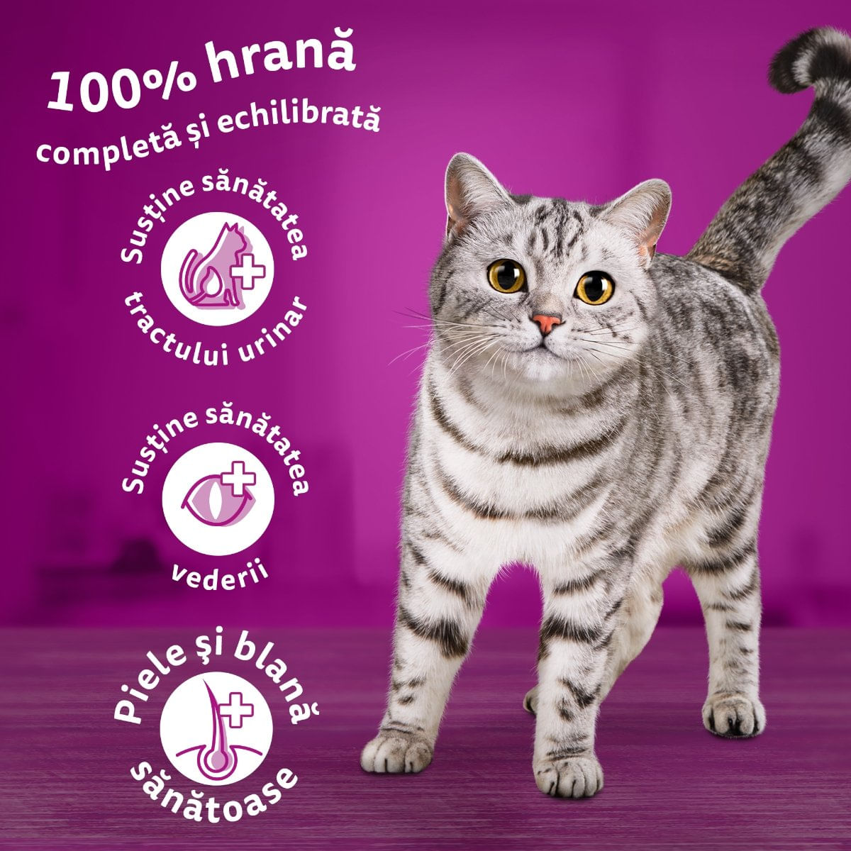 WHISKAS Adult, Pui, hrană uscată pisici, 1.4kg