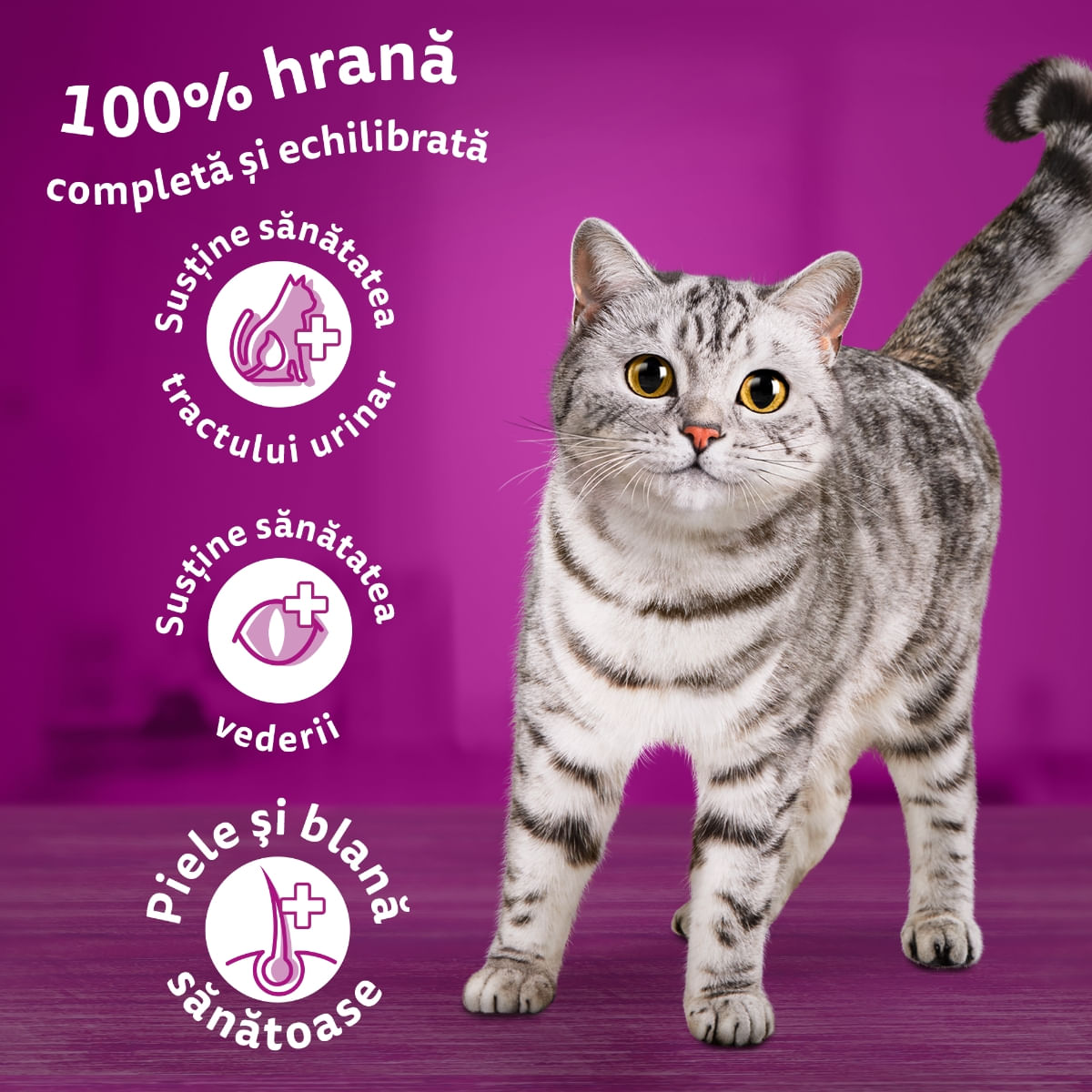 WHISKAS Adult, Ton, hrană uscată pisici, 1.4kg