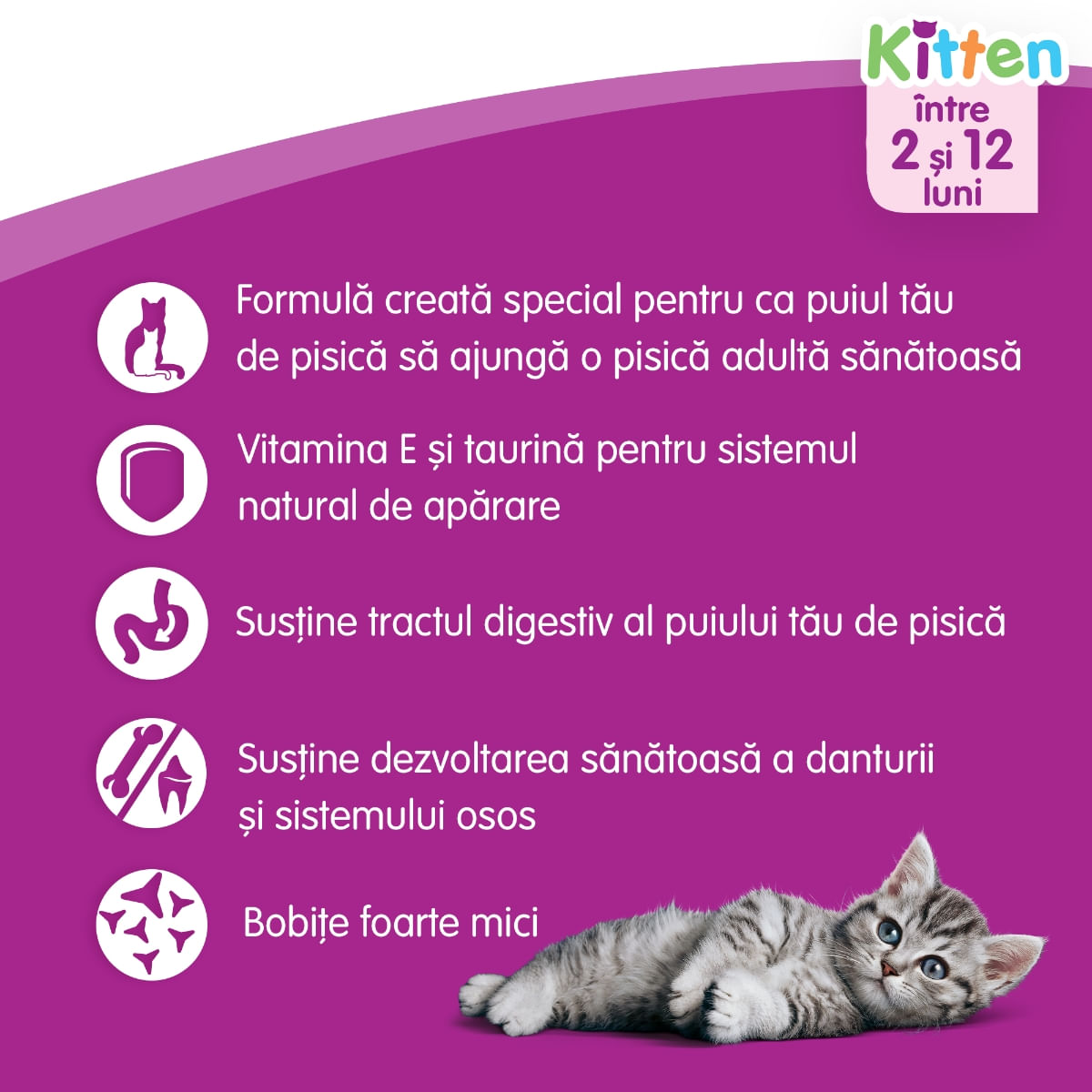 WHISKAS Junior, Pui, hrană uscată pisici junior, 14kg