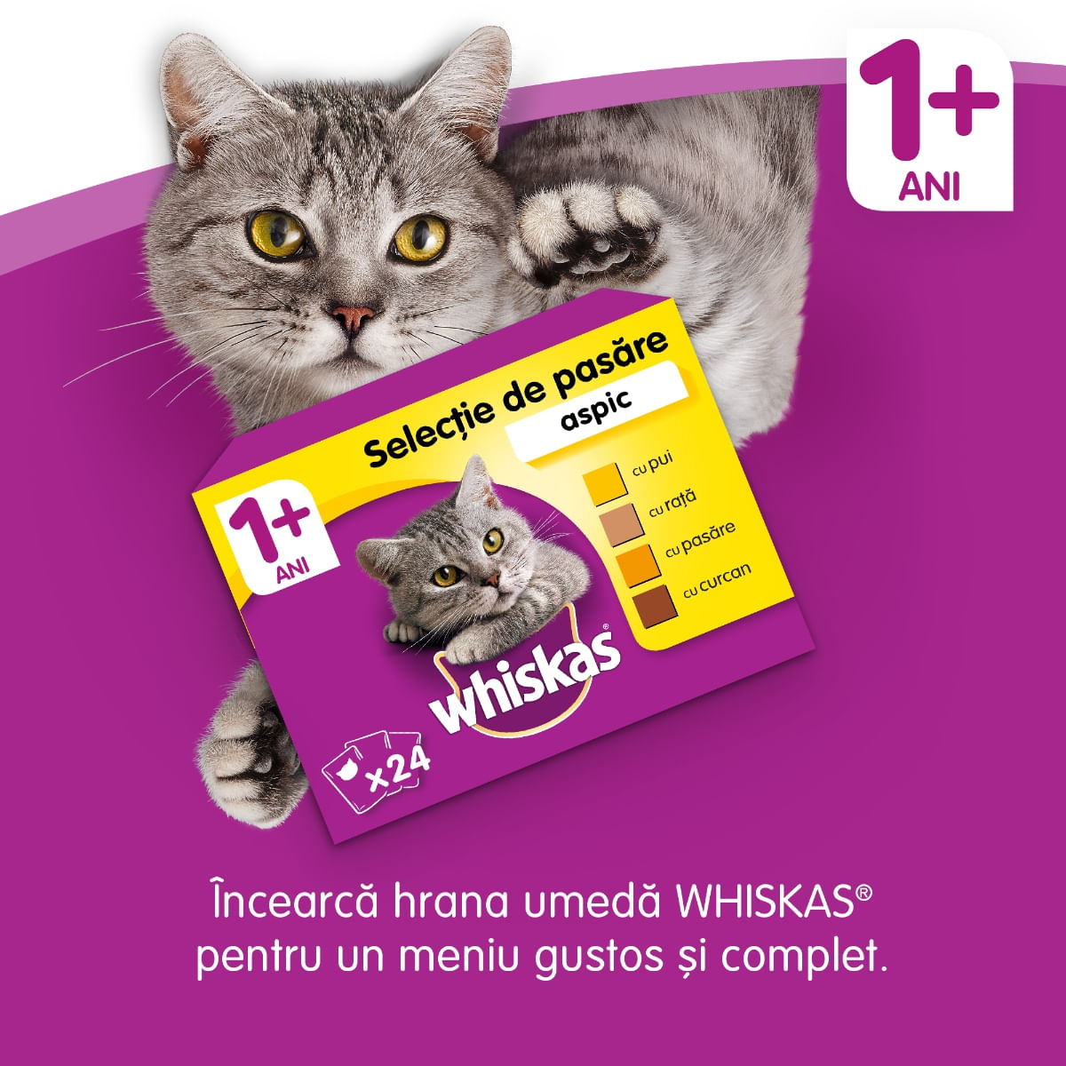 WHISKAS Adult, Vită, hrană uscată pisici, 14kg