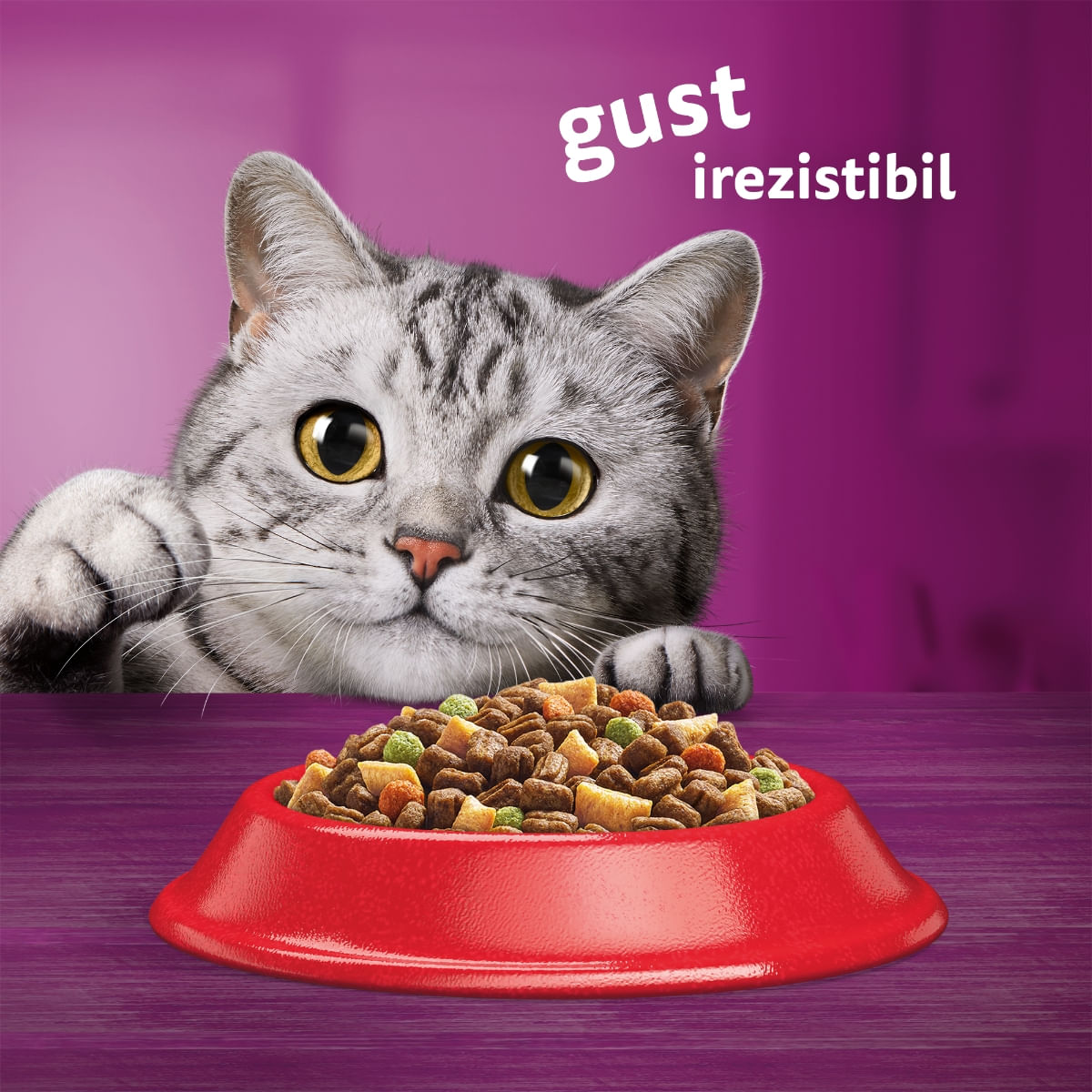 WHISKAS Adult, Vită, hrană uscată pisici, 300g