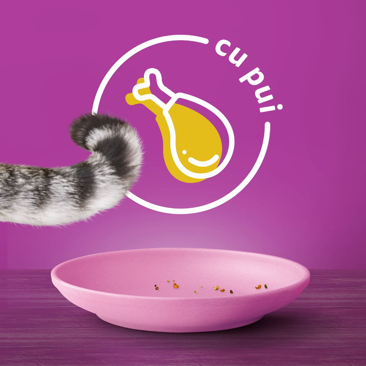 WHISKAS Junior, Pui, hrană uscată pisici junior, 300g