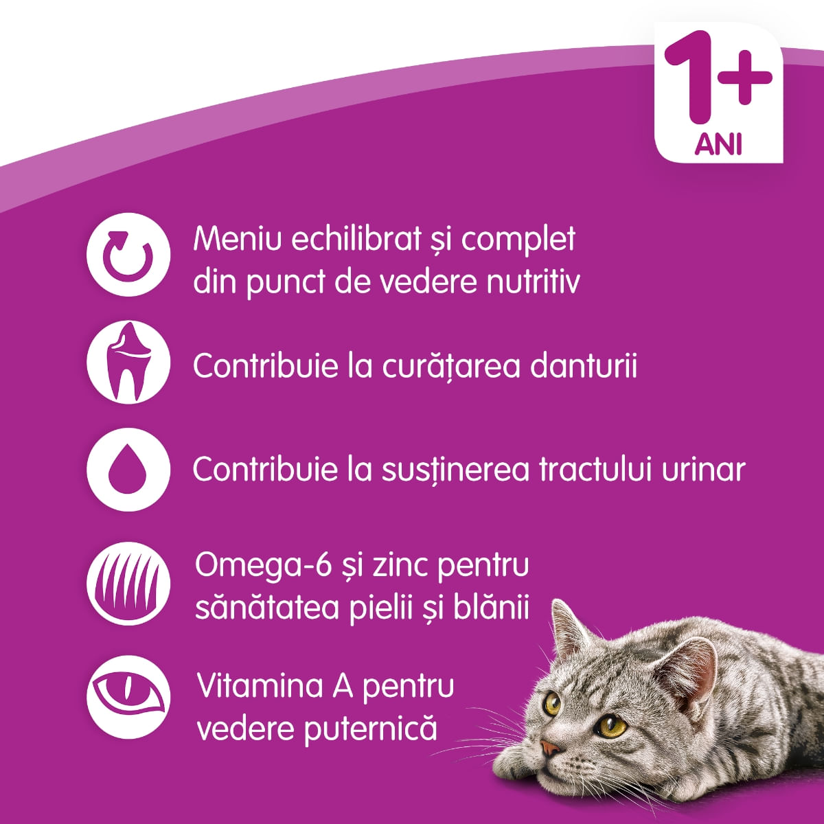 WHISKAS Adult, Vită, hrană uscată pisici, 14kg