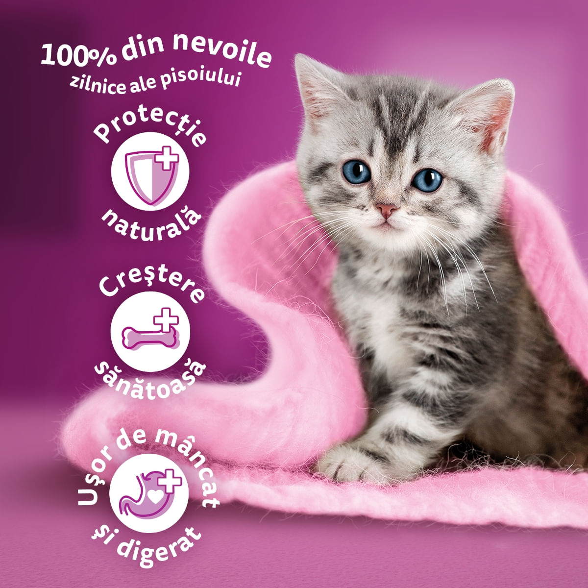 WHISKAS Junior, Pui, hrană uscată pisici junior, 14kg