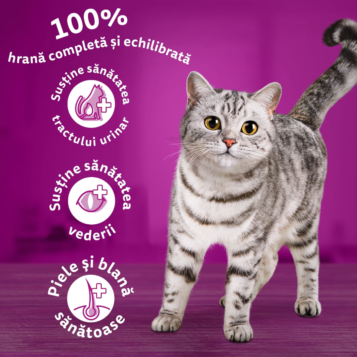 WHISKAS Adult, Vită, hrană uscată pisici, 3.8kg
