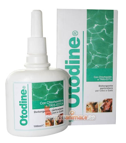 Otodine, 100 ml