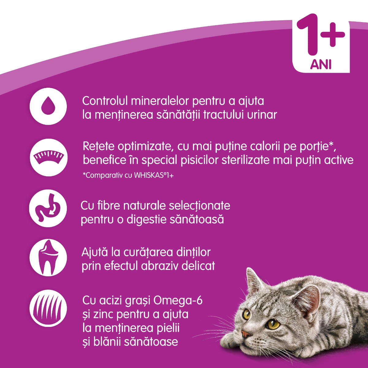 WHISKAS Adult Sterile, Pui, hrană uscată pisici sterilizate, 14kg