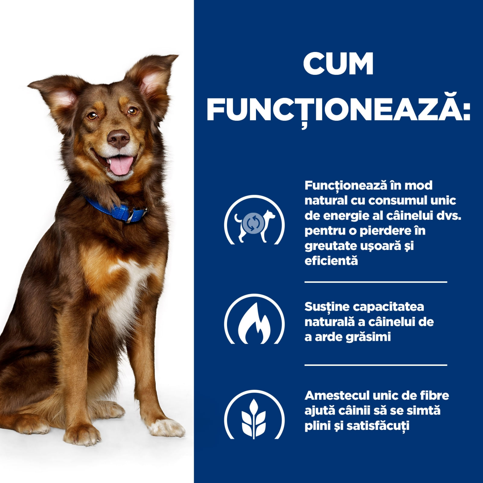 HILL&#039;S Prescription Diet Metabolic, Pui, dietă veterinară câini, hrană uscată, afecțiuni metabolice (obezitate) HILL&#039;S Prescription Diet Metabolic, Pui, dietă veterinară câini, hrană uscată, metabolism (obezitate si diabet), 1.5kg