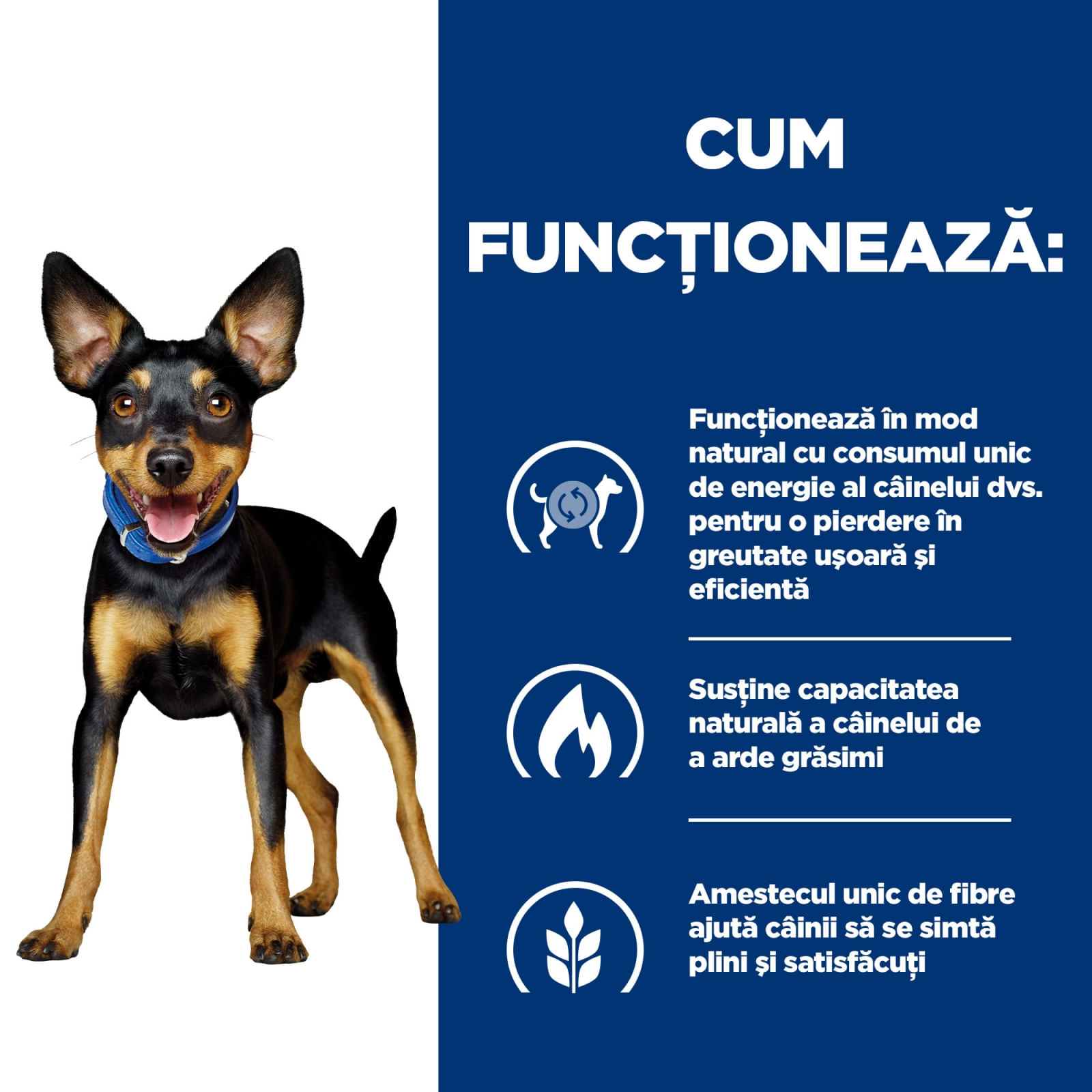 HILL&#039;S Prescription Diet Metabolic Mini, dietă veterinară câini, hrană uscată, afecțiuni metabolice (obezitate) HILL&#039;S Prescription Diet Metabolic Mini, dietă veterinară câini, hrană uscată, metabolism (obezitate si diabet), 3kg