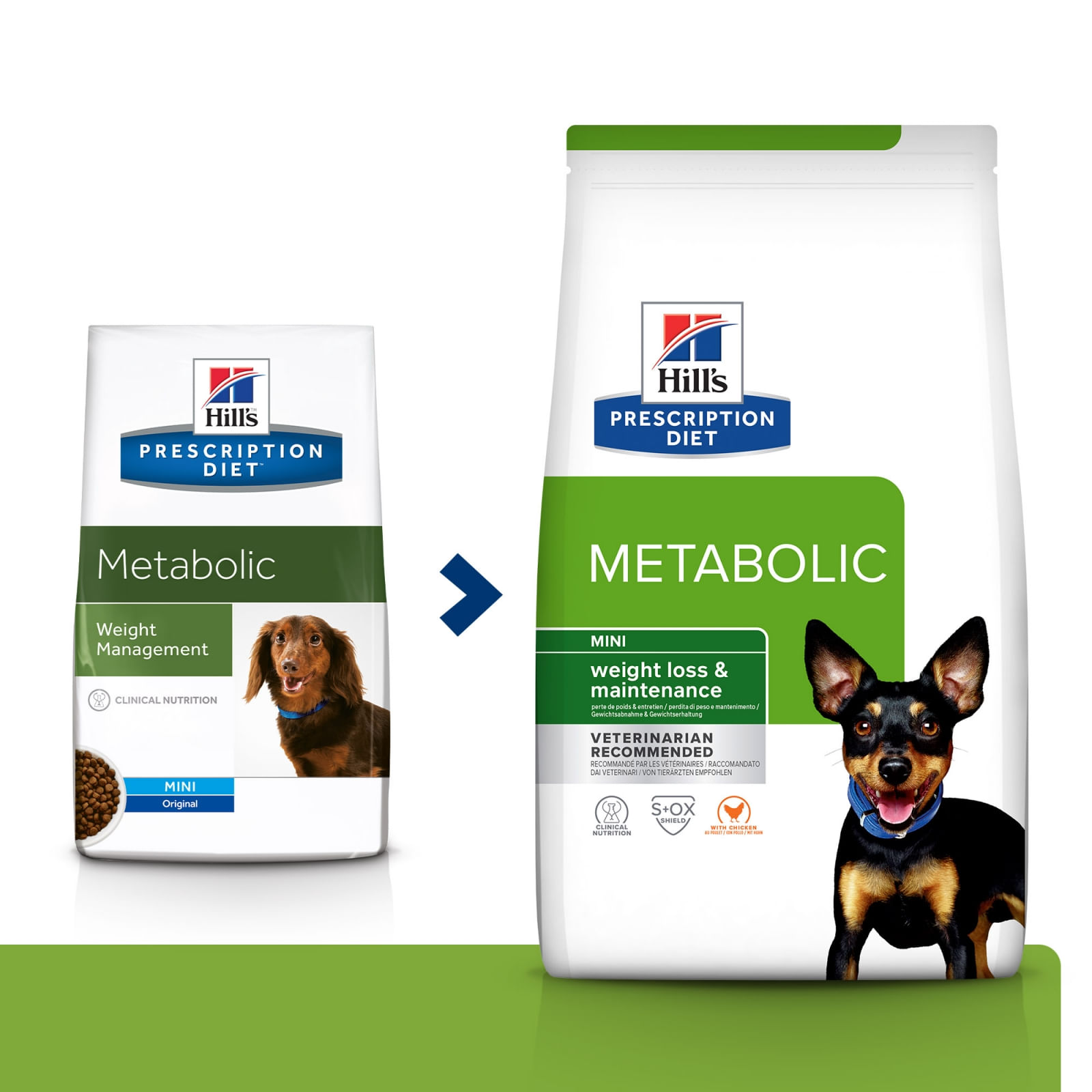 HILL\'S Prescription Diet Metabolic Mini, dietă veterinară câini, hrană uscată, afecțiuni metabolice (obezitate) HILL\'S Prescription Diet Metabolic Mini, dietă veterinară câini, hrană uscată, metabolism (obezitate si diabet), 6kg - 1 | YEO