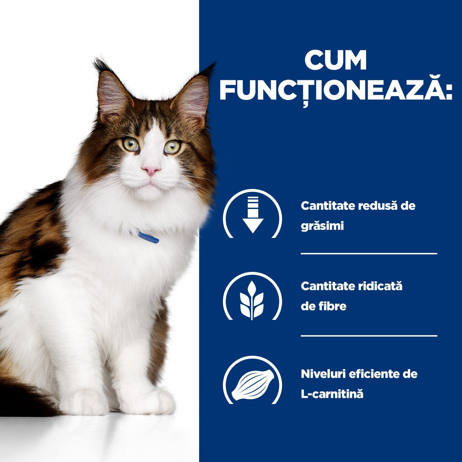 HILL'S Prescription Diet w/d Multi-Benefit, Pui, dietă veterinară pisici, hrană uscată, afecțiuni metabolice (diabet) HILL'S Prescription Diet w/d Multi-Benefit, Pui, dietă veterinară pisici, hrană uscată, metabolism (obezitate si diabet), 3kg