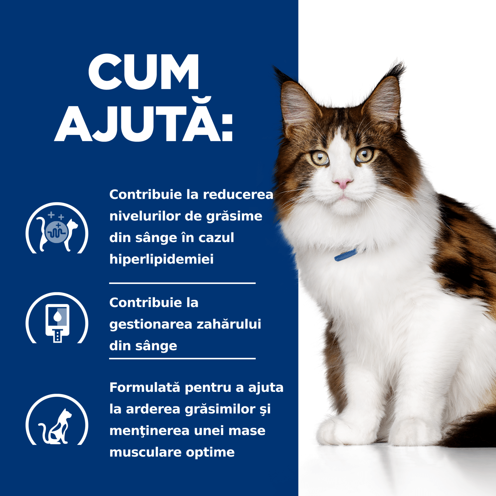 HILL'S Prescription Diet w/d Multi-Benefit, Pui, dietă veterinară pisici, hrană uscată, afecțiuni metabolice (diabet) HILL'S Prescription Diet w/d Multi-Benefit, Pui, dietă veterinară pisici, hrană uscată, metabolism (obezitate si diabet), 3kg