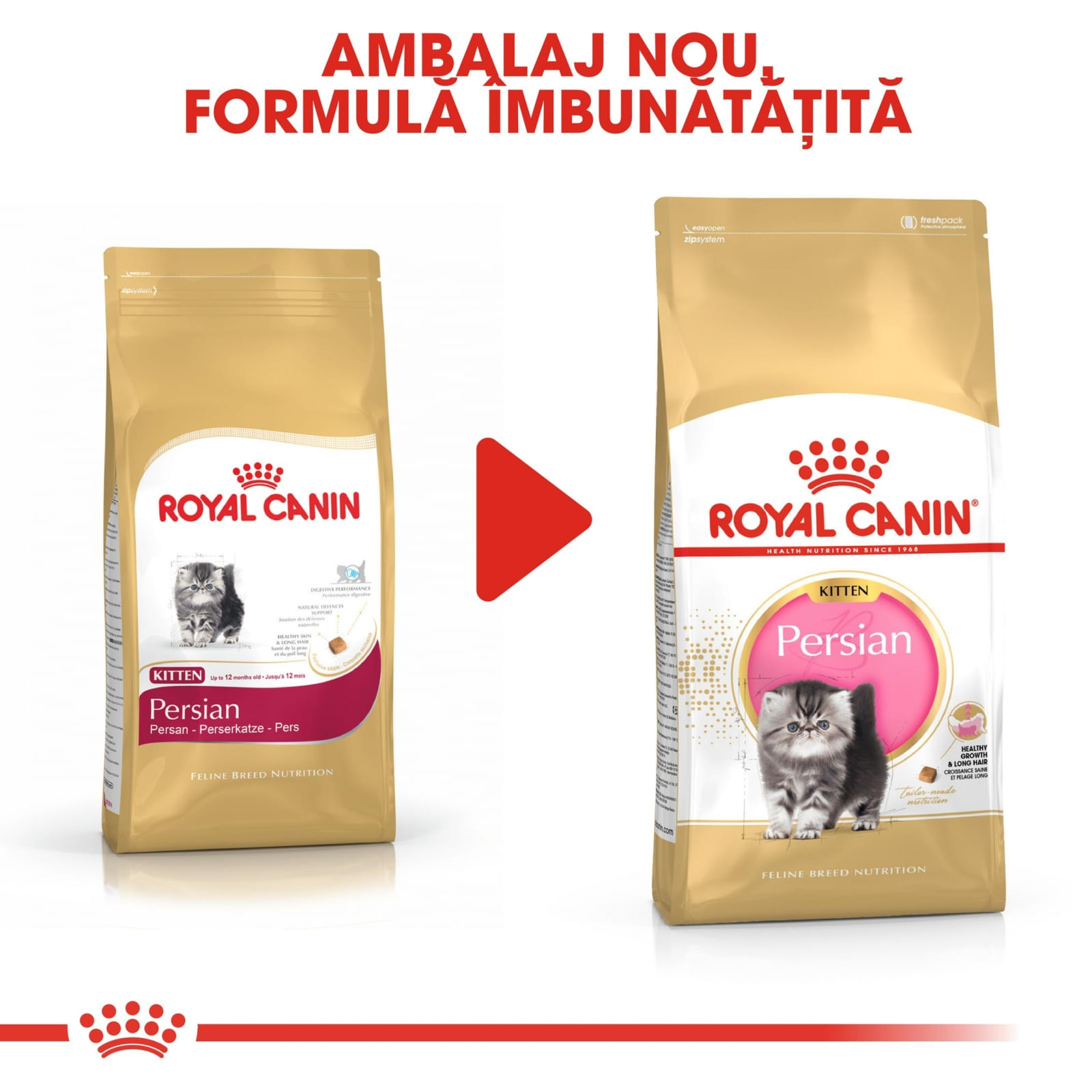 Royal Canin Persian Kitten, hrană uscată pisici junior, 2kg