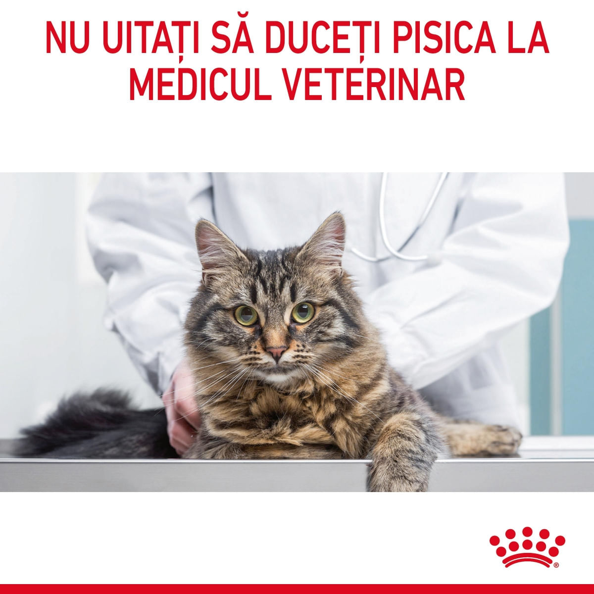Royal Canin Urinary Care Adult, hrană uscată pisici, sănătatea tractului urinar ROYAL CANIN Feline Care Nutrition Urinary Care, hrană uscată pisici, sănătatea tractului urinar, 400g