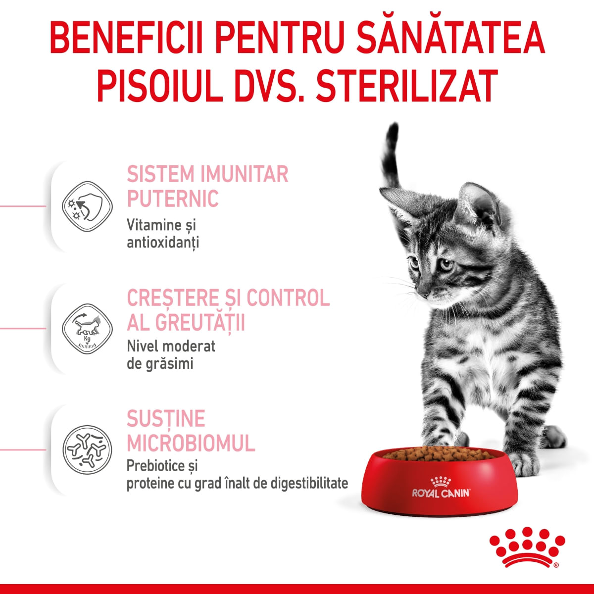 ROYAL CANIN Kitten Sterilised, hrană uscată pisici sterilizate junior, 2kg