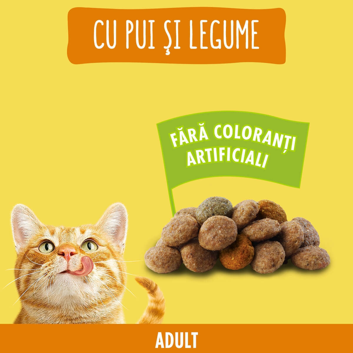 PURINA Friskies Adult, Pui cu Legume, hrană uscată pisici, 10kg - 2 | YEO