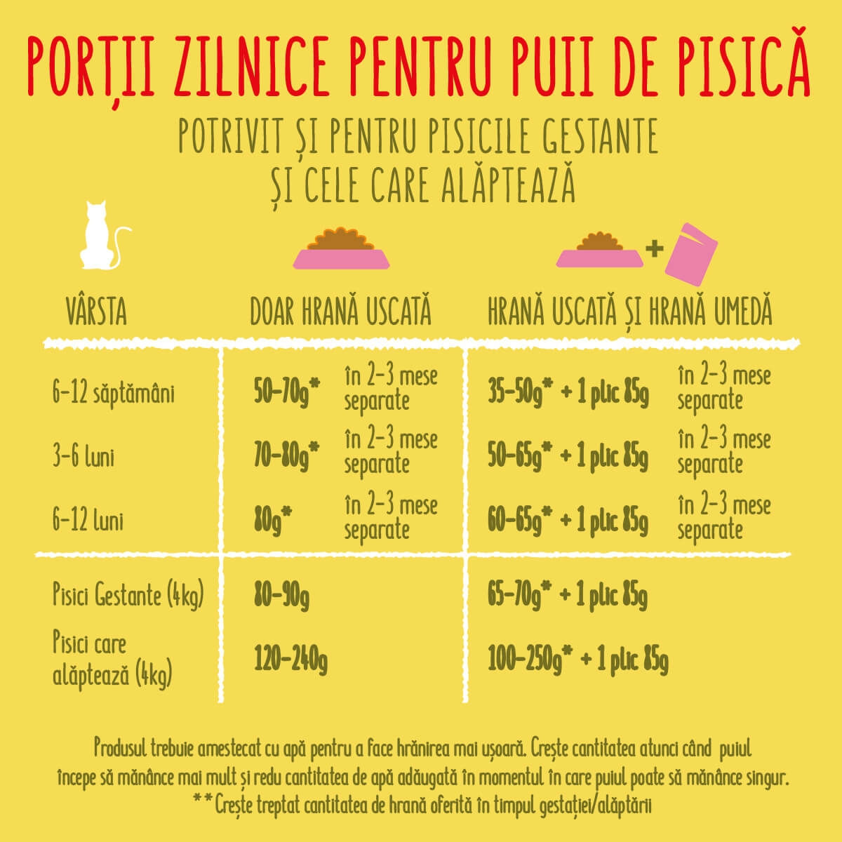 PURINA Friskies Junior, Pui și Curcan, hrană uscată pisici junior, 10kg - 1 | YEO