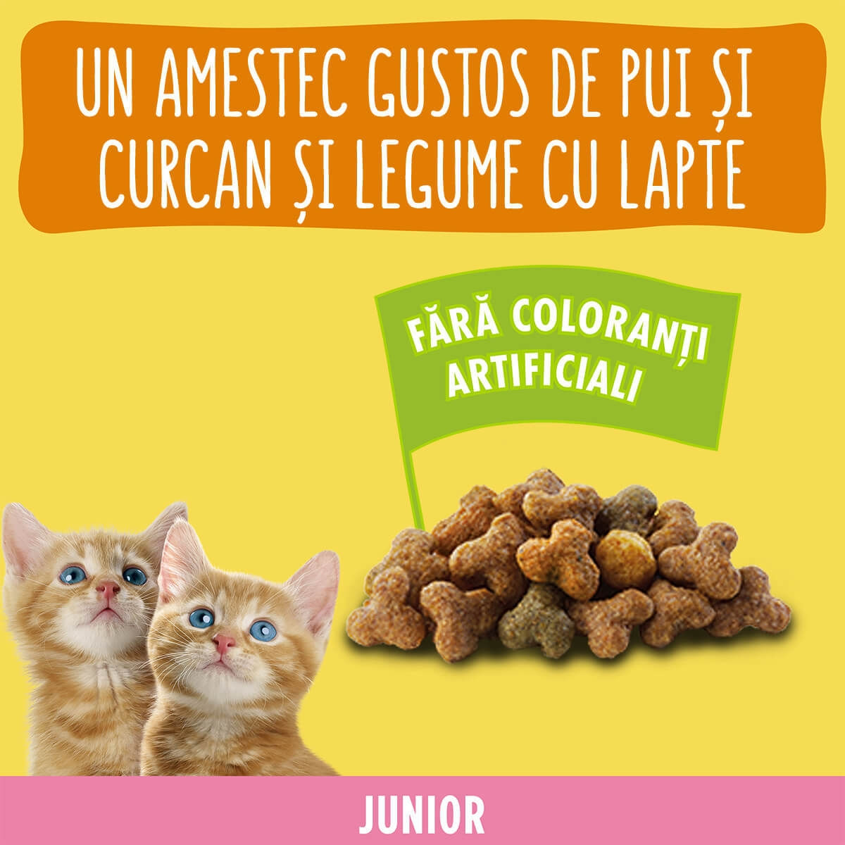PURINA Friskies Junior, Pui și Curcan, hrană uscată pisici junior, 10kg - 3 | YEO