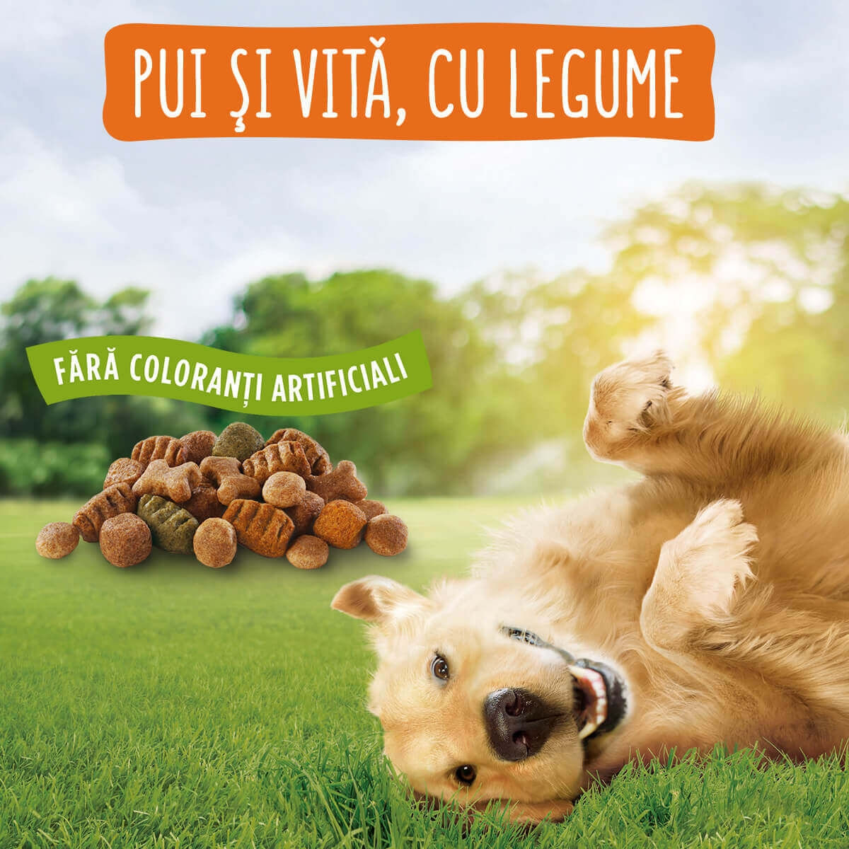 PURINA Friskies Adult Balance, Pui cu Legume, hrană uscată câini, 15kg
