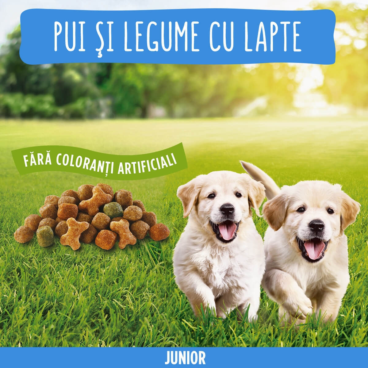 PURINA Friskies Junior, Pui cu Legume, hrană uscată câini junior, 2.4kg - 1 | YEO