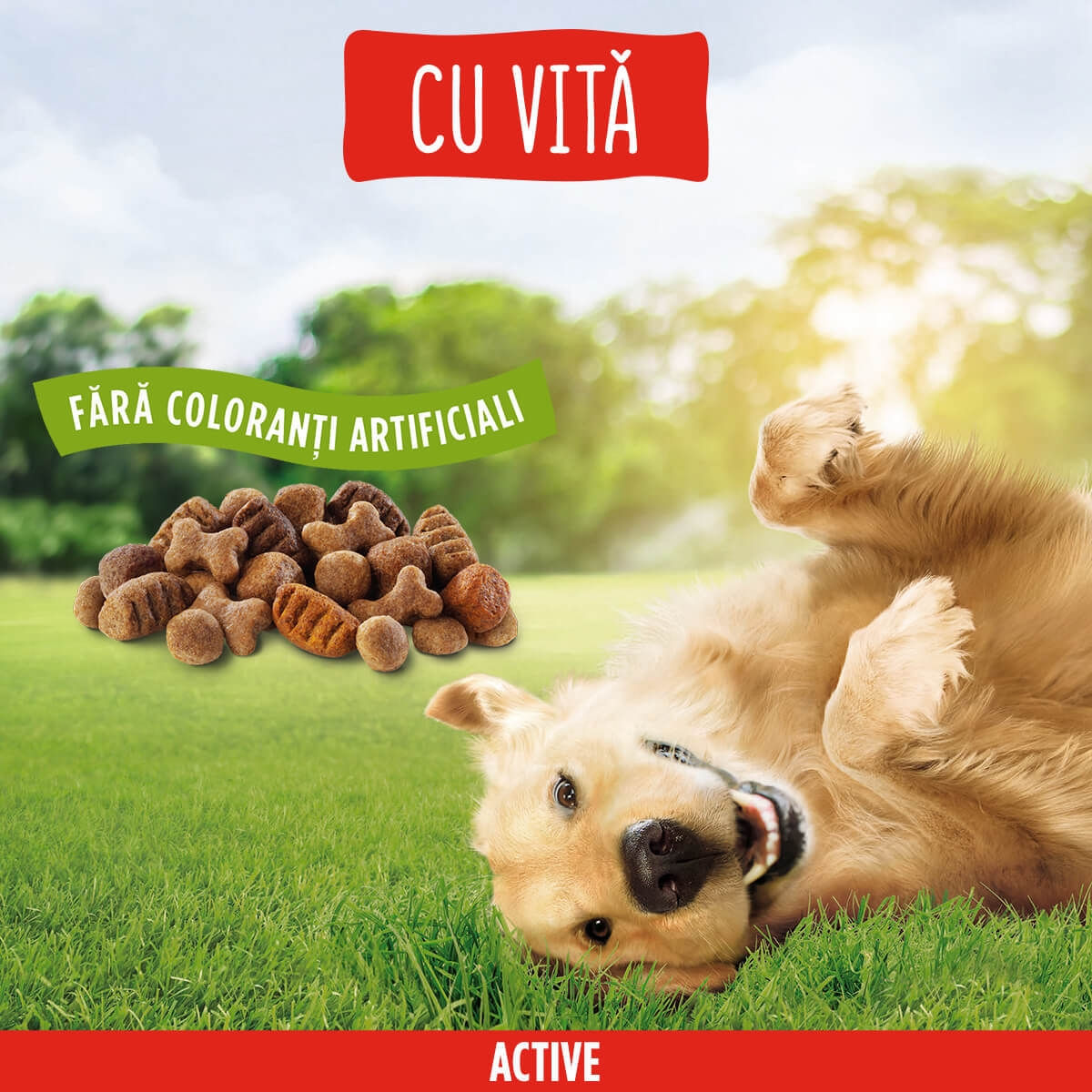 PURINA Friskies Adult Active, Vită, hrană uscată câini, activitate intensă, 15kg - 1 | YEO