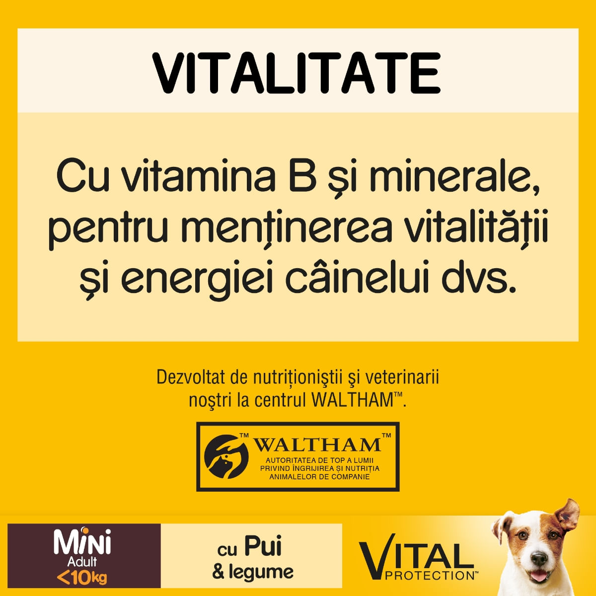 PEDIGREE Vital Protection Mini Adult, Pui și Legume, hrană uscată câini, 2kg - 2 | YEO