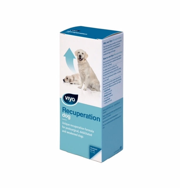 Viyo Recuperation Dog x 1 fl